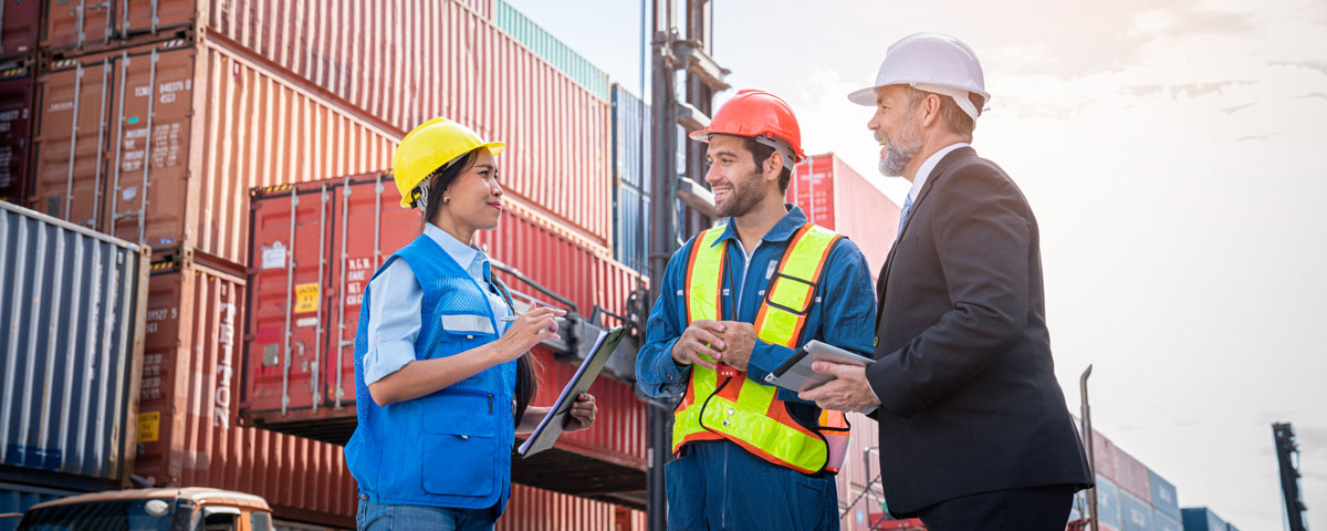 Export / Import Consultancy